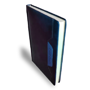 Agenda Ejecutiva 2026 – Azul, detalle pestaña