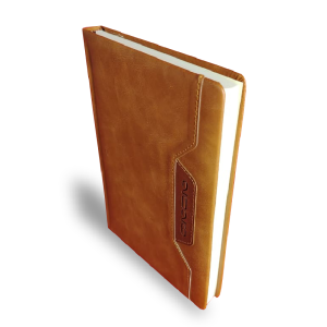 Agenda Ejecutiva 2026 – Gena, detalle pestaña